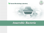 Anaerobic Jar