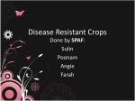 Disease Resistant Crops
