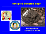 Microbiology