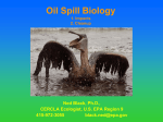 OilSpillBiol