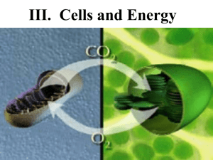 III. Cells and Energy