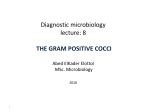 the gram positive cocci