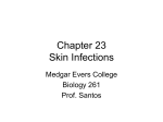 Chapter 23 Skin Infections