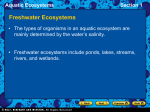 Aquatic Ecosystems Section 1