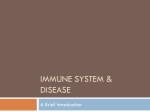 Immune System & Disease