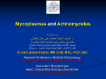 Mycoplasma pneumoniae - جامعة الملك عبدالعزيز