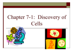 Chapter 7-1: Discovery of Cells