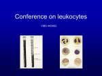 Conf. – Leukocytes
