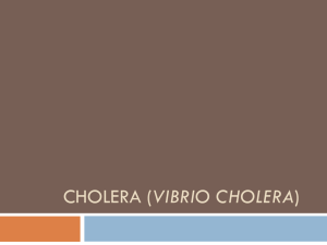 Cholera (Vibrio cholera)
