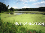 eutrophication notes