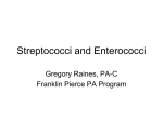 Streptococci and Enterococci