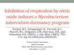Inhibition of respiration by Nitric Oxide induces a