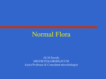 01-Normal Flora Update