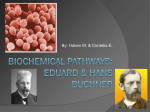 Biochemical Pathways: Eduard & Hans Buchner