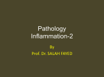 Pathology Inflammation-2