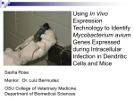 Using In Vivo Expression Technology to