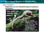 17.1 The Linnaean System of Classification