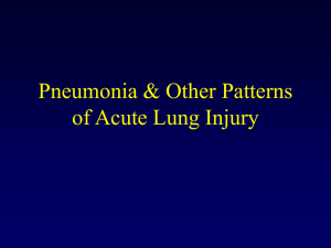 PNEUMONIA AND OTHER PATTERNS OF ACUTE LUNG INJURY