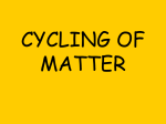 Nutrient Cycles for blog