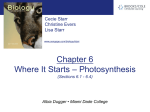 chapter6_Where It Starts – Photosynthesis(1