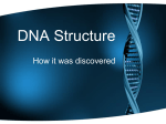 DNA Structure - Cloudfront.net