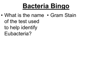 Bacteria Bingo - Cloudfront.net