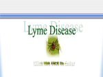LYME DISEASE
