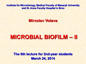 06_Microb_biofilm_II_2014 - IS MU