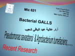 Lecture-Mic 621- Galls