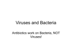 Viruses and Bacteria