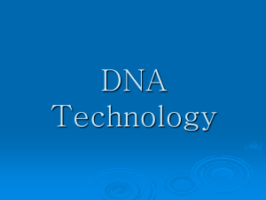 DNA Technology Notes