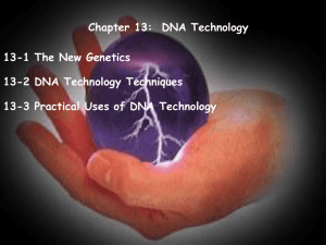 Chapter 13-DNA Technology