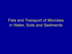 Fate and Transport of Microbes in Water, Soils and Sediments