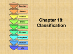 Chapter 18: Classification