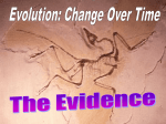 Evidence Conclusion