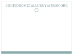 BIOHYDROMETALLURGY of IRON ORE