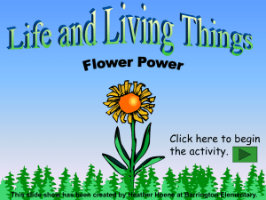 Life and Living Things: Flower Power