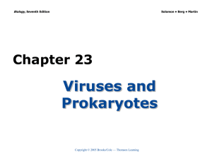 Chapter 23 Viruses and Prokaryotes