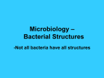 unit 4 bacteria