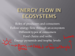 Energy Flow in ecosystems lisa. l - martin
