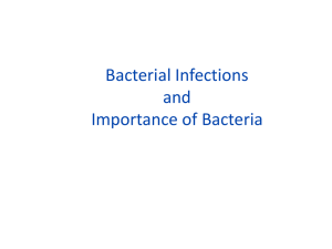 Bacterial Infections cp