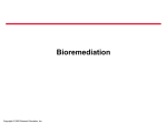 Bioremediation Basics