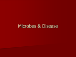 Microbes & Disease