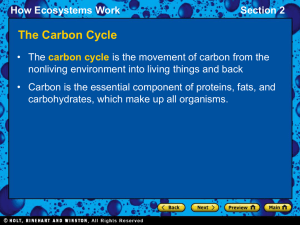 How Ecosystems Work Section 2