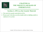 16A - DNA The Genetic Material