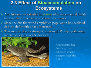 2.3 Effect of Bioaccumulation on Ecosystems