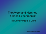 The Avery and Hershey-Chase Experiments