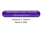 Helicobacter Pylori Vaccine Development [Catherine Johnson]