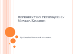 Reproduction Techniques in Monera Kingdom - agranda