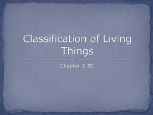 Classification_of_Living_Things_1.3C